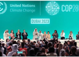 COP 28 Commitments and Ground Realities