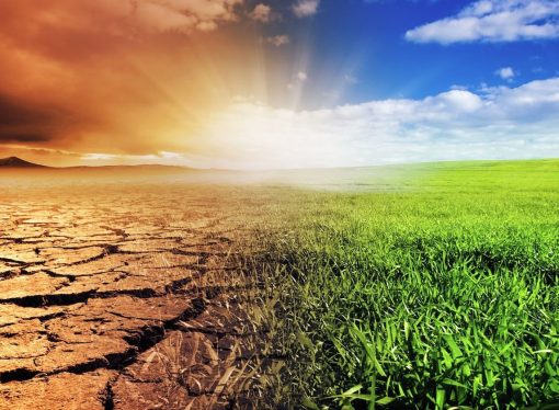 Climate crisis is starving Pakistan