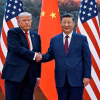 Partners, Not Adversaries